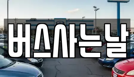 전북특별자치도 김제시 금구면 중고차매매,단기렌트카,중고차매입,장기렌트카,중고차,렌트카