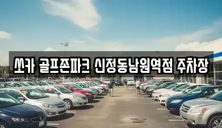 전북특별자치도 남원시 주생면 렌트카 전문 쏘카 골프존파크 신정동남원역점 주차장