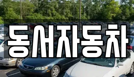 전북특별자치도 무주군 무풍면 중고차 전문 동서자동차