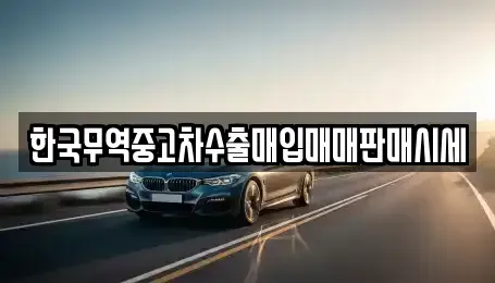 전북특별자치도 순창군 풍산면 중고차매입 전문 한국무역중고차수출매입매매판매시세