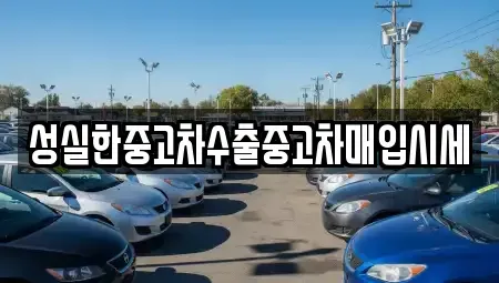 전북특별자치도 익산시 모현동2가 중고차매매 전문 성실한중고차수출중고차매입시세