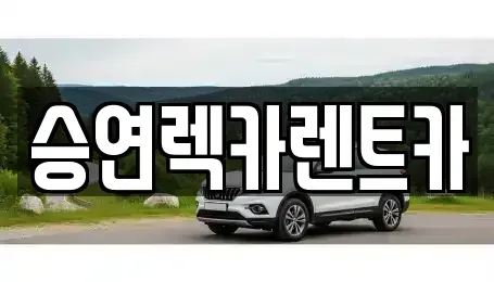 전북특별자치도 전주시 덕진구 용정동 렌트카 전문 승연렉카렌트카
