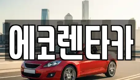 전북특별자치도 전주시 덕진구 용정동 렌트카 전문 에코렌타카