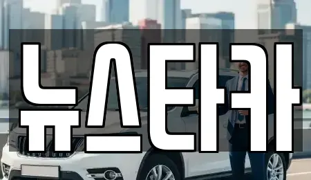 전북특별자치도 전주시 덕진구 용정동 중고차 전문 뉴스타카