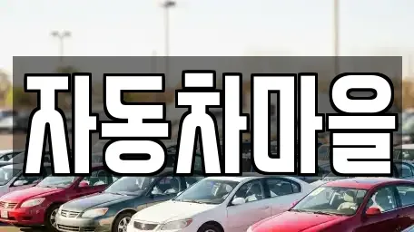전북특별자치도 전주시 덕진구 용정동 중고차매입 전문 자동차마을