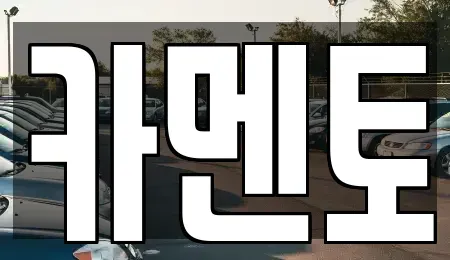 전북특별자치도 전주시 덕진구 용정동 중고차매입 전문 카멘토