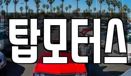 전북특별자치도 전주시 덕진구 용정동 중고차매입 전문 탑모터스