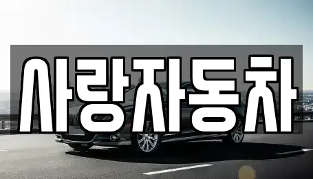 전북특별자치도 전주시 덕진구 전미동1가 중고차 전문 사랑자동차