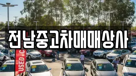 전북특별자치도 전주시 덕진구 전미동1가 중고차 전문 전남중고차매매상사