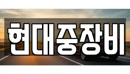 전북특별자치도 전주시 덕진구 화전동 중고차매매 전문 현대중장비