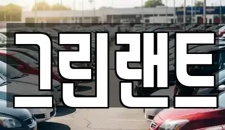 전북특별자치도 전주시 완산구 남노송동 렌트카 전문 그린랜트