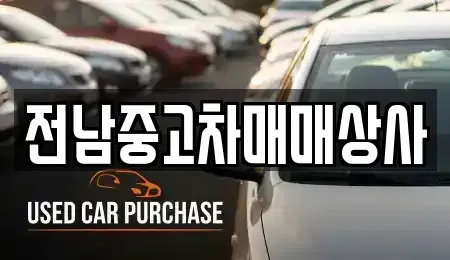 전북특별자치도 전주시 완산구 남노송동 중고차매매,단기렌트카,중고차매입,장기렌트카,중고차,렌트카