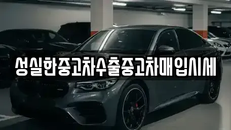전북특별자치도 전주시 완산구 서서학동 단기렌트카,중고차매입,중고차매매,중고차,렌트카,장기렌트카