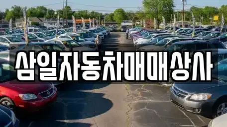 제주 서귀포시 법환동 중고차매매 전문 삼일자동차매매상사