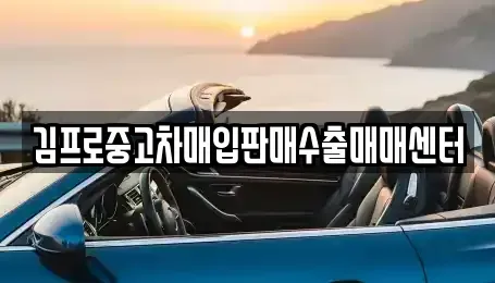 제주 서귀포시 서홍동 중고차 전문 김프로중고차매입판매수출매매센터