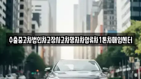 제주 서귀포시 서홍동 중고차 전문 수출중고차법인차고장사고차망자차압류차1톤차매입센터