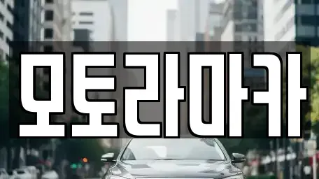 제주 제주시 용담일동 중고차 전문 모토라마카