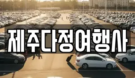 제주 제주시 일도일동 렌트카 전문 제주다정여행사