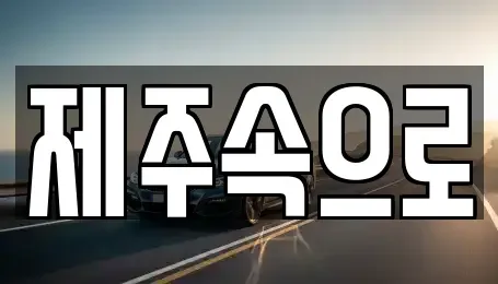 제주 제주시 일도일동 렌트카 전문 제주속으로