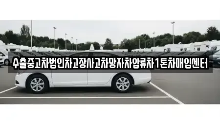제주 제주시 일도일동 중고차 전문 수출중고차법인차고장사고차망자차압류차1톤차매입센터
