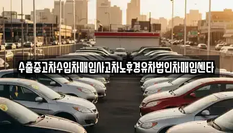 제주 제주시 일도일동 중고차 전문 수출중고차수입차매입사고차노후경유차법인차매입센타