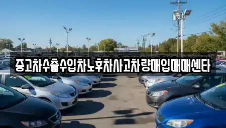 제주 제주시 일도일동 중고차매입 전문 중고차수출수입차노후차사고차량매입매매센타