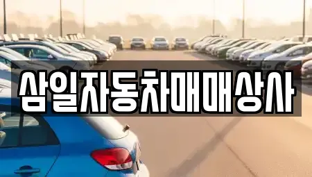 제주특별자치도 서귀포시 법환동 중고차 전문 삼일자동차매매상사