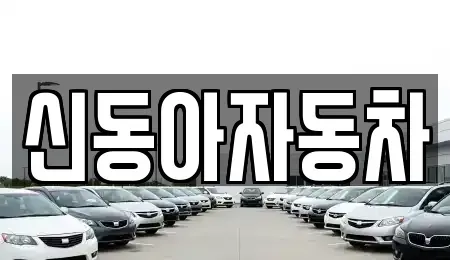 제주특별자치도 서귀포시 법환동 중고차매매 전문 신동아자동차