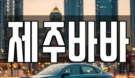 제주특별자치도 제주시 아라이동 렌트카 전문 제주바바