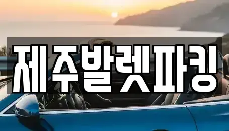 제주특별자치도 제주시 아라이동 렌트카 전문 제주발렛파킹