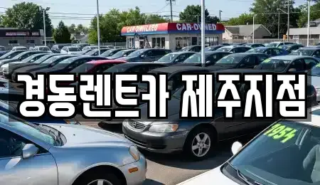제주특별자치도 제주시 애월읍 단기렌트카 전문 경동렌트카 제주지점