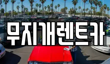 제주특별자치도 제주시 애월읍 렌트카 전문 무지개렌트카