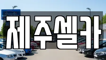 제주특별자치도 제주시 회천동 중고차매매 전문 제주셀카