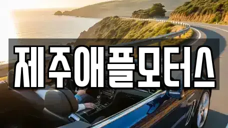 제주특별자치도 제주시 회천동 중고차매매 전문 제주애플모터스