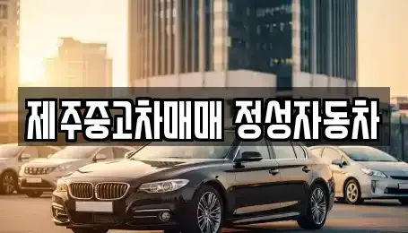 제주특별자치도 제주시 회천동 중고차매매 전문 제주중고차매매 정성자동차