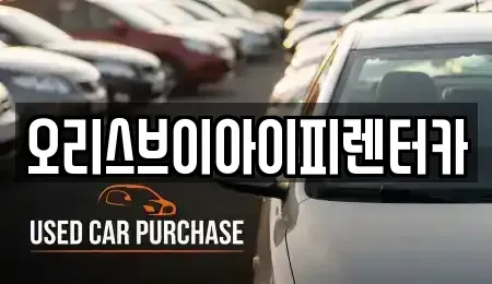충남 공주시 우성면 렌트카 전문 오리스브이아이피렌터카