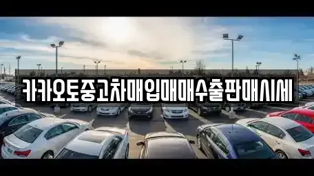 충남 공주시 우성면 중고차매입 전문 카카오토중고차매입매매수출판매시세
