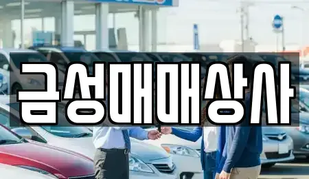 충남 논산시 강산동 중고차매매 전문 금성매매상사