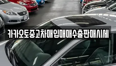 충남 논산시 강산동 중고차매매 전문 카카오토중고차매입매매수출판매시세