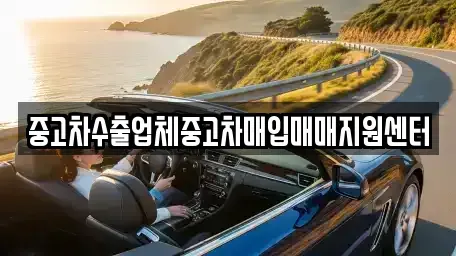 충남 논산시 내동 중고차매입 전문 중고차수출업체중고차매입매매지원센터