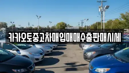 충남 당진시 대호지면 중고차 전문 카카오토중고차매입매매수출판매시세