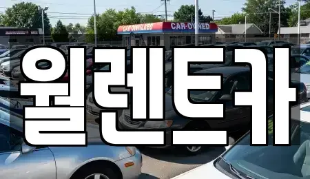 충남 당진시 신평면 렌트카 전문 월렌트카