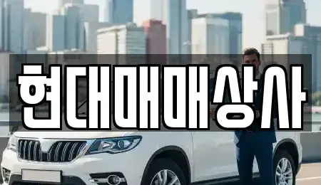 충남 당진시 신평면 중고차매매 전문 현대매매상사