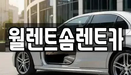 충남 당진시 용연동 렌트카 전문 월렌트솜렌트카