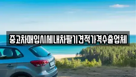 충남 당진시 채운동 중고차 전문 중고차매입시세내차팔기견적가격수출업체