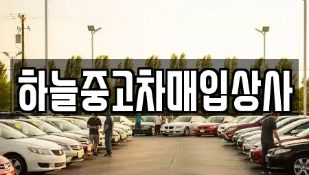 충남 당진시 채운동 중고차매입 전문 하늘중고차매입상사