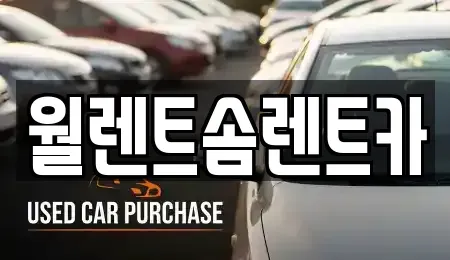 충남 당진시 합덕읍 렌트카 전문 월렌트솜렌트카