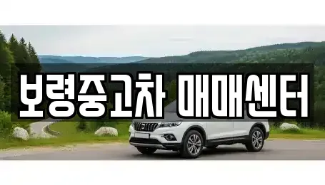 충남 보령시 죽정동 중고차 전문 보령중고차 매매센터
