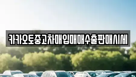충남 보령시 죽정동 중고차매입 전문 카카오토중고차매입매매수출판매시세