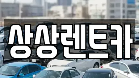 충남 서천군 마서면 렌트카 전문 상상렌트카